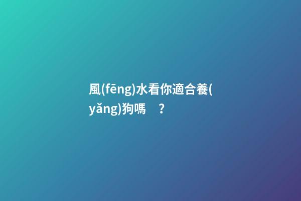 風(fēng)水看你適合養(yǎng)狗嗎？